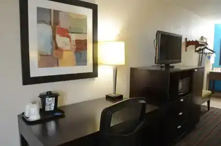 Holiday Inn Express NASHVILLE W I40/WHITEBRIDGE RD by IHG - 28