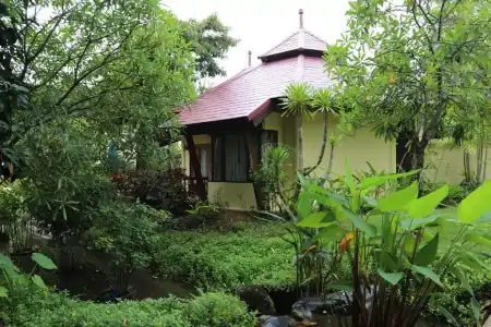 Seaview Resort Khao Lak - 24