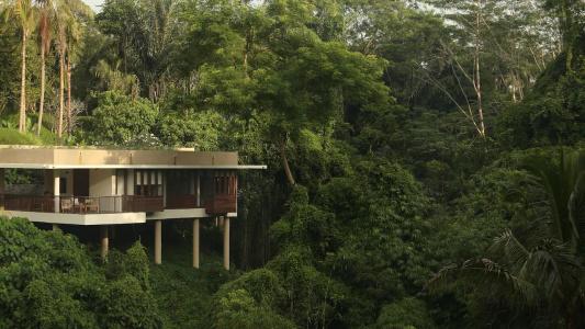 Alila Ubud - 39