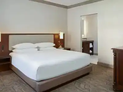 Hyatt Regency - 41