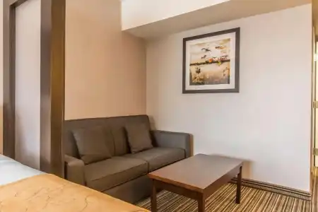 Comfort Suites Downtown - 31