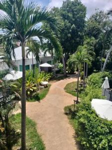 Samui Beach Resort - 45