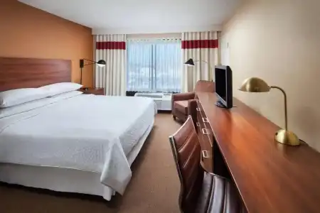 Four Points by Sheraton Los Angeles International Airport (USA) - 56