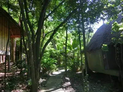 The Narima Lanta Island - 25
