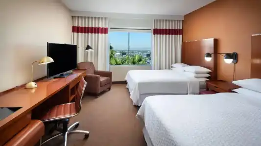 Four Points by Sheraton Los Angeles International Airport (USA) - 55
