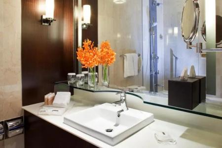 Holiday Inn Singapore Orchard City Centre by IHG - 17