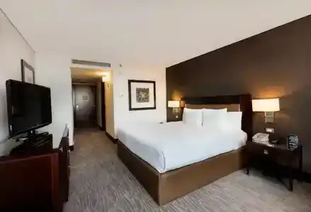 Hilton Mexico City Reforma - 52