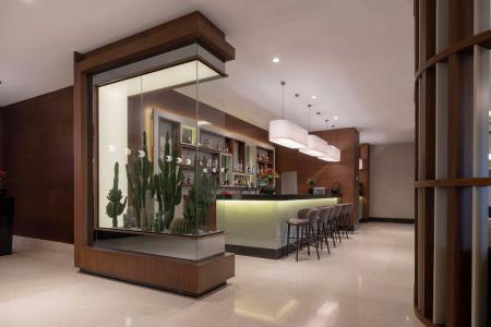 Radisson Blu Ankara Cankaya - 14