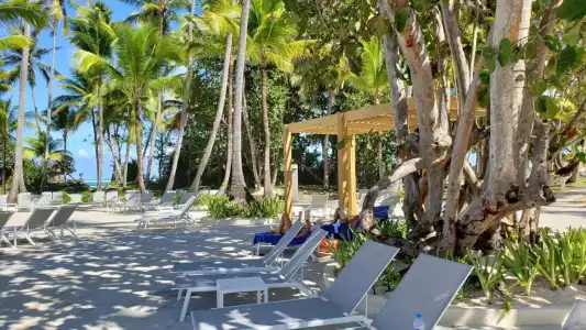 Grand Bavaro Princess - All Inclusive - 7