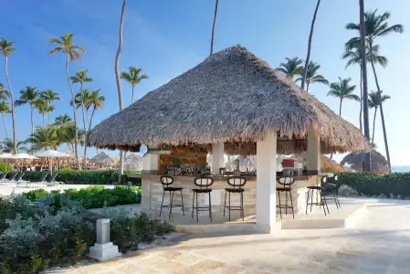 Paradisus Palma Real Golf & Spa Resort All Inclusive - 27