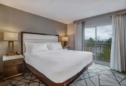 Embassy Suites by Hilton Seattle Bellevue - 31
