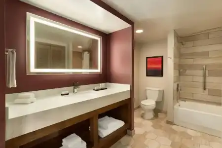 Embassy Suites by Hilton Phoenix Downtown North - 68