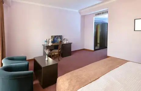Ani Central Inn - 62