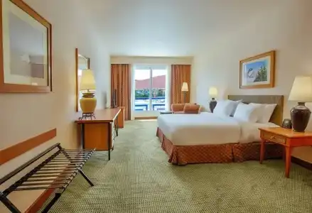 Hilton Alexandria Green Plaza - 61