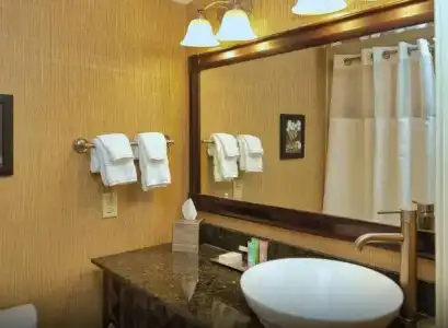 Wyndham Grand Pittsburgh Downtown - 41