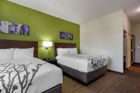Sleep Inn & Suites Tampa South - 36