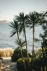 Le Provençal - 29