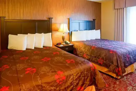 Castle Inn and Suites - 24