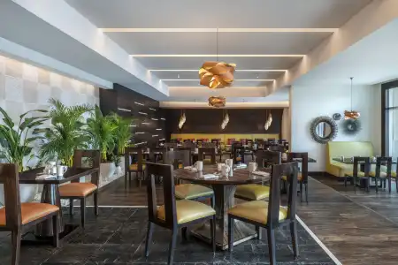 Marriott Al Jaddaf - 17