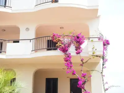 Nicolaus Club Oasi Vieste - 51