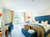 Standard Double room with balcony and with lake view