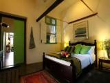 Basement Suite
