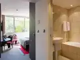 Superior room with view