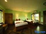 Standard Double room with garden view
