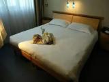 Standard Double DUS room