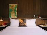 Premium Double room with street view