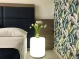 Standard Double room with balcony and with lake view