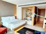 Deluxe Double room with garden view