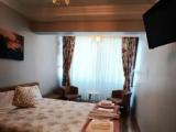 Standard Double room with pool view