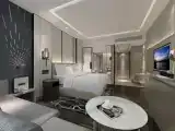 Executive Double Club room
