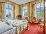 Standard Double room with park view