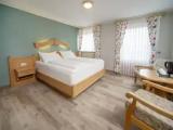 Standard Double room with mountain view