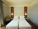 Standard Double room with balcony and with lake view