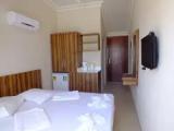 Classic Double room with balcony and with garden view