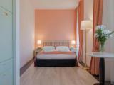 Standard Double room with balcony and with mountain view