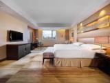 Deluxe Double room with city view