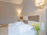 Standard Double room with mountain view