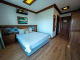 Standard room with balcony and with mountain view