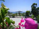 Standard Double room with sea view
