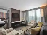 1 Bedroom Suite