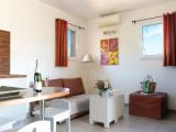 1 Bedroom Standard Apartment