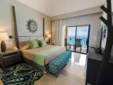 1 Bedroom Deluxe Suite beachfront
