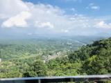 2 Bedrooms Family Suite with mountain view