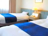Standard Double room with mountain view