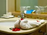 Standard Junior Suite