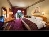 Executive Double room with pool view